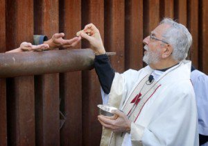 Cardinal Sean O'Malley