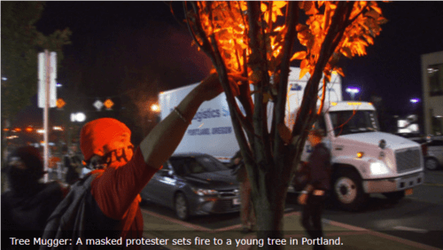 tree_muggers_and_soros_losers_riot_against_democracy_in_portland_white_racism_to_blame_vdare_-_premier_news_outlet_for_patriotic_immigration_reform_-_2016-11-16_18-58-10