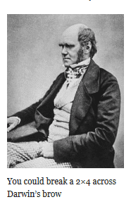 You could break a 2×4 across Darwin’s brow