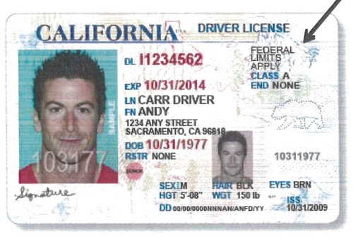 ca drivers license what does dd mean